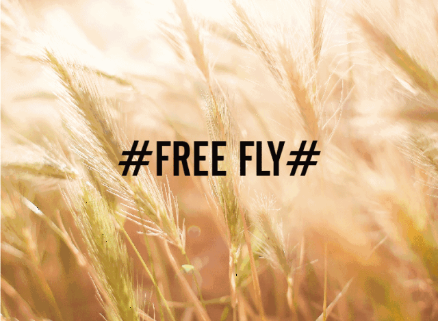 2018 autumn feather fashion show 卡拉美&嘟噜噜 2018秋 羽绒新品