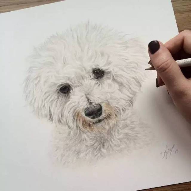 教你画超可爱的彩铅狗狗!