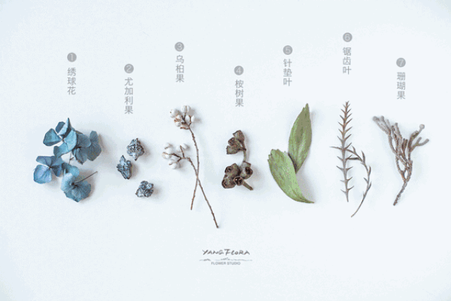 花艺教程 | 手把手教你做干花小花环