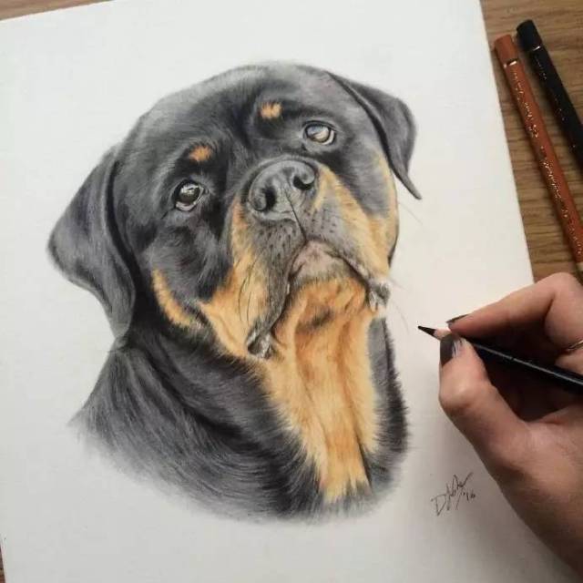 教你画超可爱的彩铅狗狗!