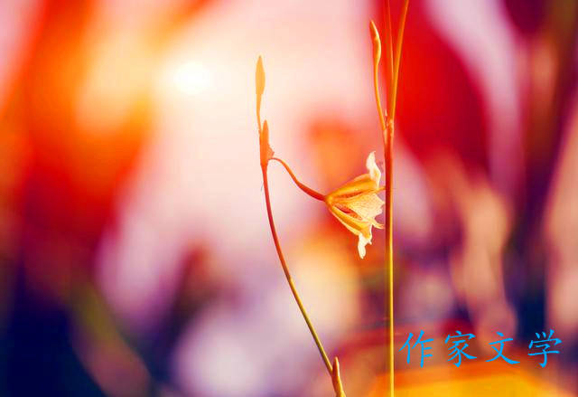 留一份缠绵给岁月,留一点尊严给自己