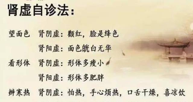 健康讲堂为什么会十人九肾虚其实补肾最好的方法是食疗你想知道吗
