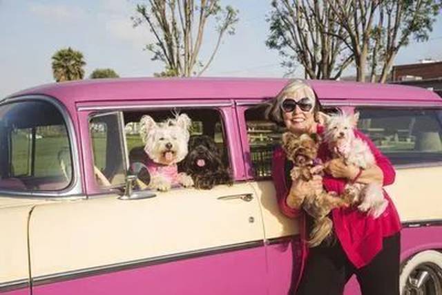 这里有10000个T你最想看的Discovery节目