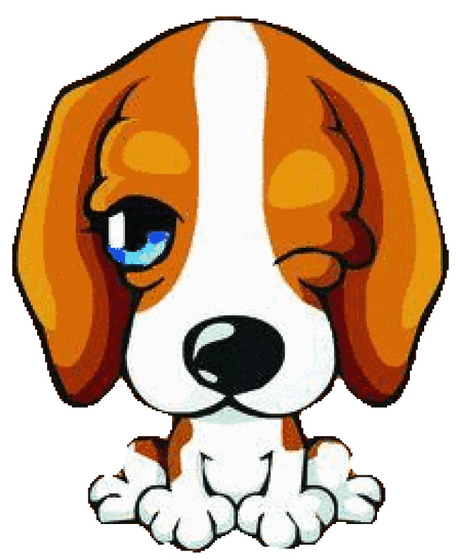 2018最新狗狗表情包,真漂亮!送给群里每一位朋友!