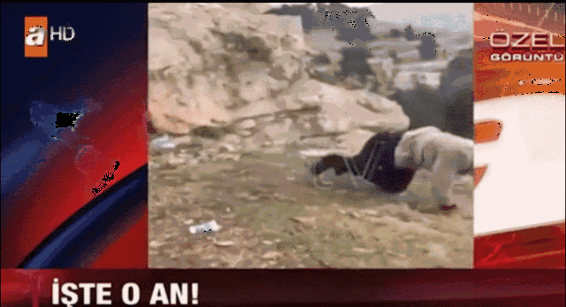 男子为庆祝生日在悬崖边拍照,没想到就这么一跳,却直接跳下悬崖摔死.