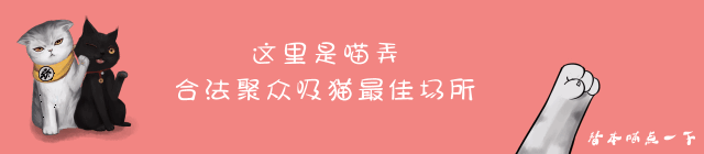 只看表情,你永远猜不透加菲猫的心情