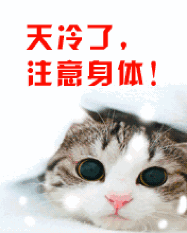 冬天天冷早安问候语录 天冷祝福语图片表情动态