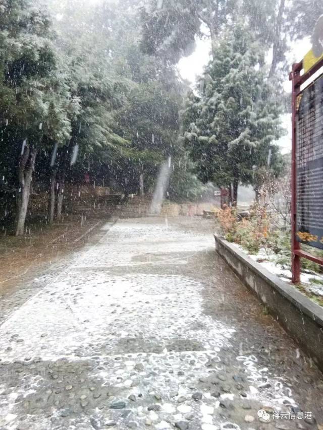 昆明下雪了,连楚雄也下雪了,祥云该下雪了吧.