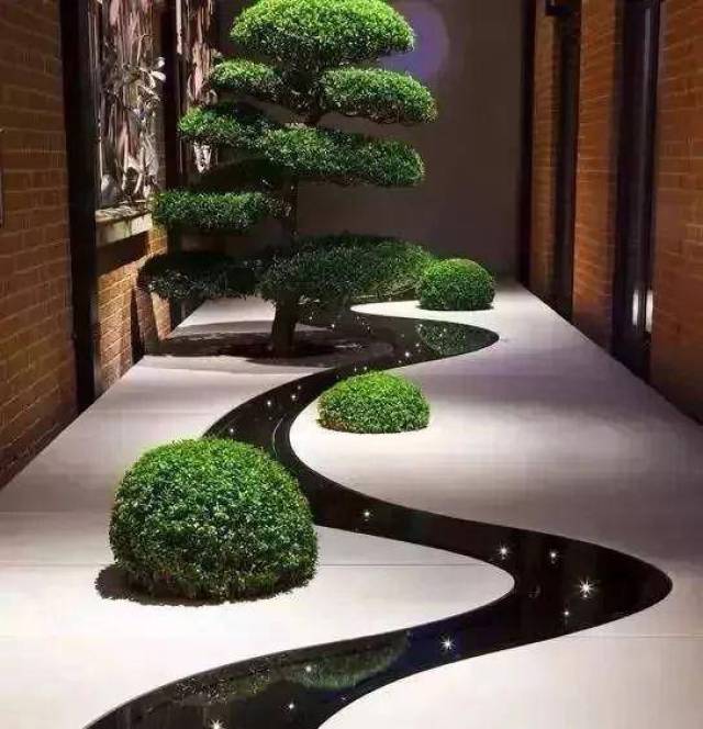 松树在庭院里的韵味
