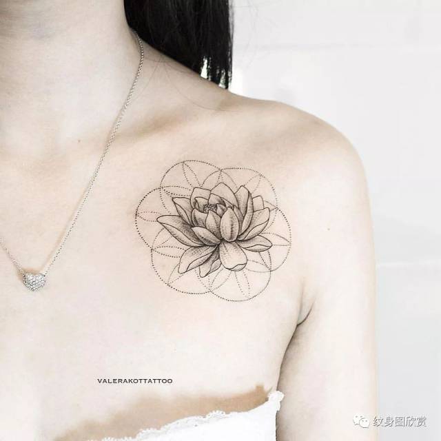植物纹身 - 荷花纹身图案(55张)