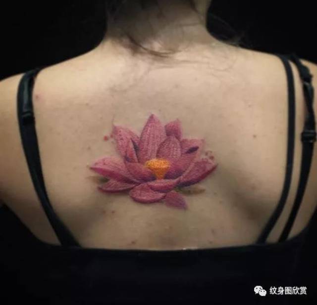 植物纹身 - 荷花纹身图案(55张)