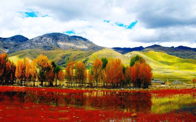 2017四川各市平均工资出炉!德阳居然垫底!第一