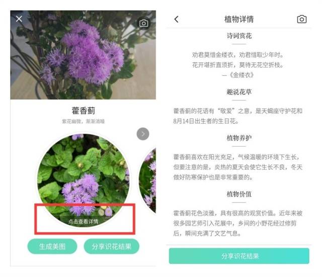 90%的人都不知道的私藏app,传图识字,看wifi密码,识别植物.堪称神器