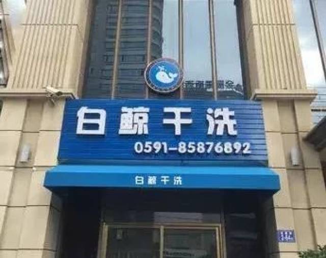 家白鲸是做什么的?居然这么多美女脱了衣服送