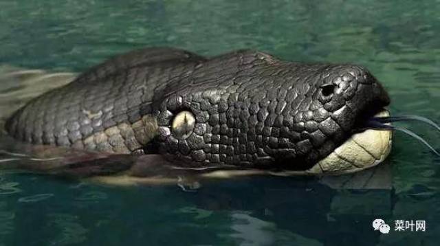7f111624489342ecae089a5f54f9f390.jpeg