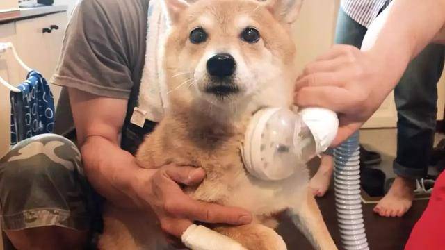 岛国的洗头房,躺在床上就给你洗了!