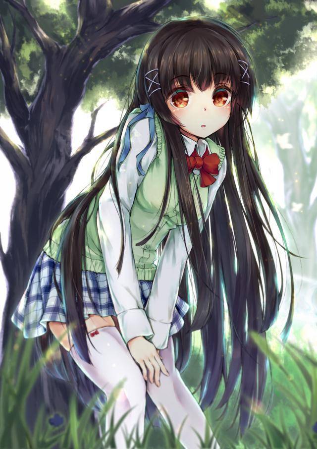 穿学生装的动漫女生(丝袜特多)