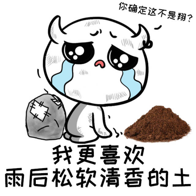 贫穷让我无法入睡