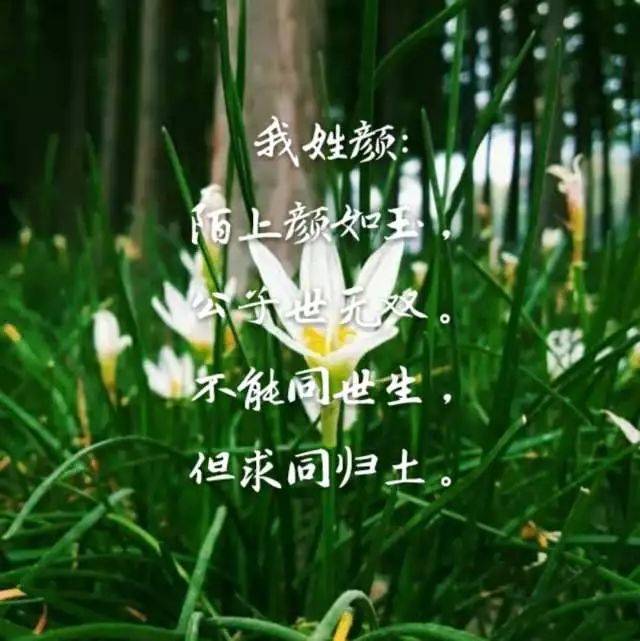 姓氏情话 | 我姓郑,正好青春有你!