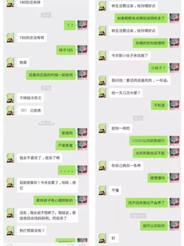 龙泉捡狗女子索酬不成摔死狗狗?真相是……微信聊天记录曝光了