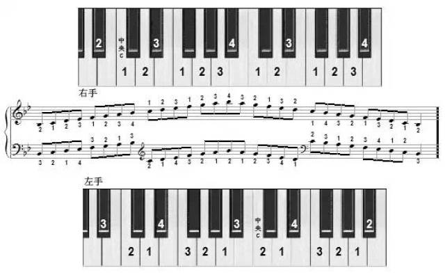 太实用 || 十二大调音阶及左右手指法图解