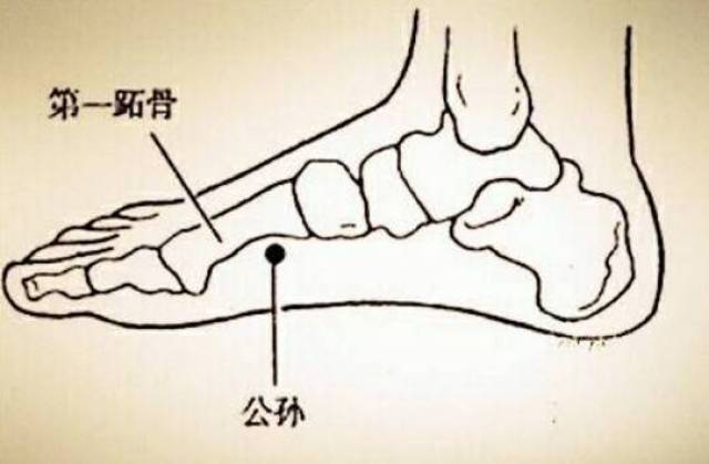 【公孙穴的位置】