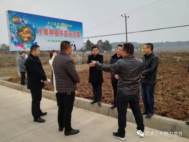 湖南省益阳市大通湖区考察组到龙台镇交流学习