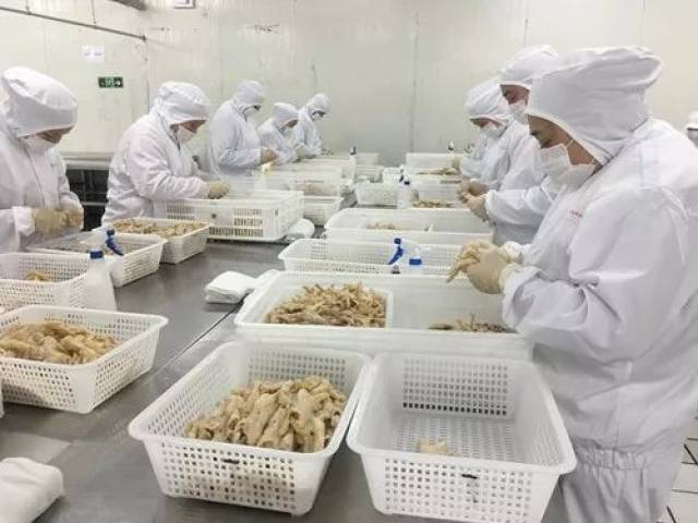 直播!无骨鸡爪到底是怎么去骨的?跟我们去廖