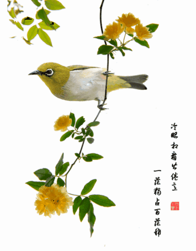500_638 竖版 竖屏