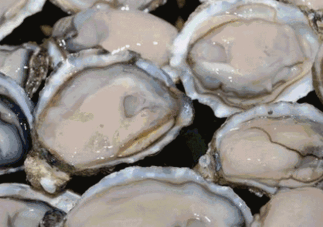 640_449gif 动态图 动图