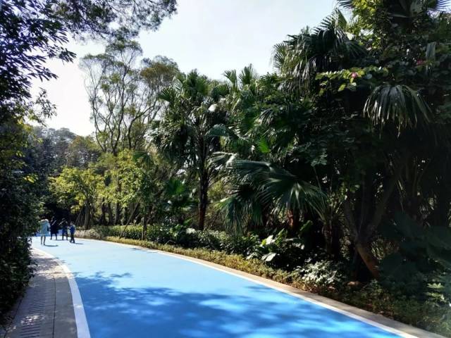 据长乐区住建局相关负责人介绍,南山生态公园占地约200公顷(合3000多