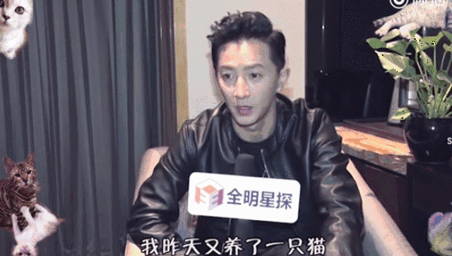 韩庚,杨幂入围娱乐圈的四大博主?范冰冰真人分享起护肤秘籍!