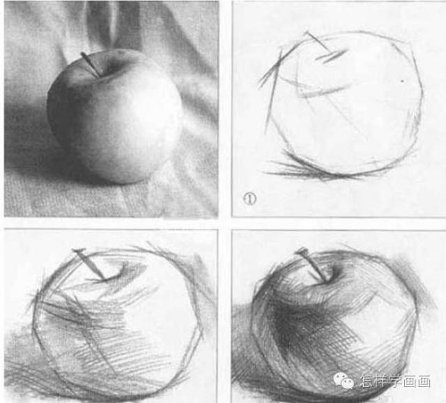 素描苹果的结构画法解析图 素描苹果怎么画?