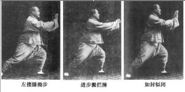 赵幼斌老师演示杨氏太极拳85式(起势——如封似闭)