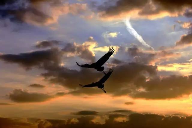 萨克斯《鸿雁》,穿透心灵的美妙之音!送给大家