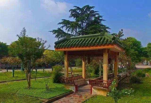 珥陵高中艺考再创a高中许昌高中音乐班图片