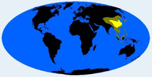 中国人的长相真的有地域差别,听说这是广东人