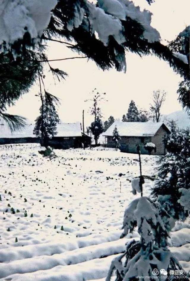 90年代正安雪景,满满的全是回忆.(胶片图片)
