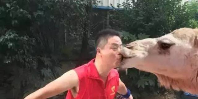 搞笑ps:求大神p个美女在地上,结果