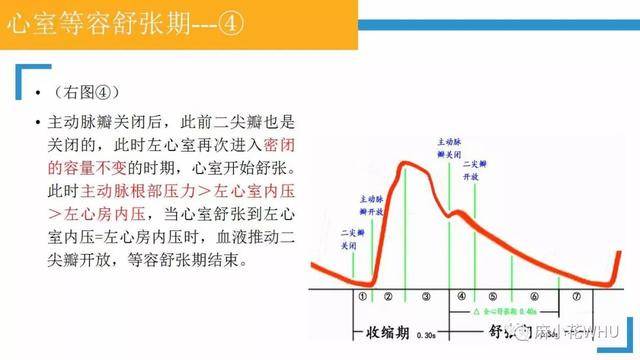 测量动脉血压的原理是什么_肱动脉测量血压图片