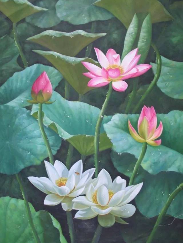 国人最爱的百年好荷系列油画——水丹青文创绘制