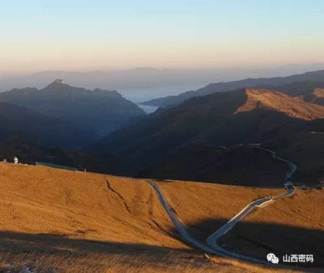 五台山台顶高山草甸