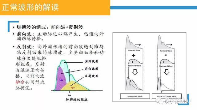 测量动脉血压的原理是什么_肱动脉测量血压图片