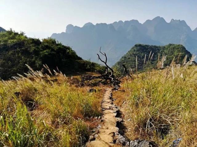 20周六探秘千年秦汉古道,穿越历史的时光——阳山水口石林古道,窑番薯