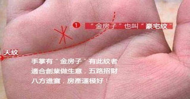 这是晚婚的徵兆,此外就是一般这样的手相恋爱次数也会增多,而且感情