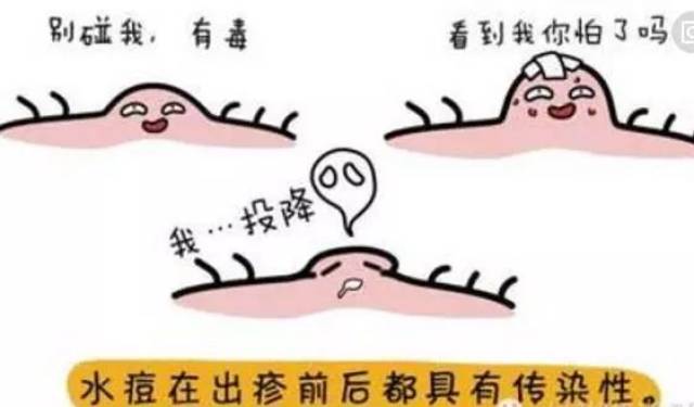 成年人也会"长水痘"!你得做好这件事.