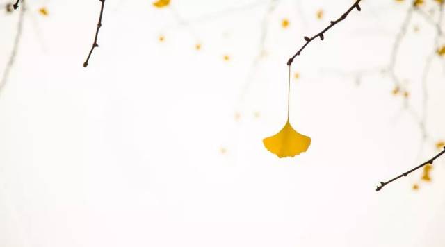 这些字用得真妙!--古典诗词的练字艺术