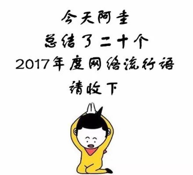 2017年度网络流行语