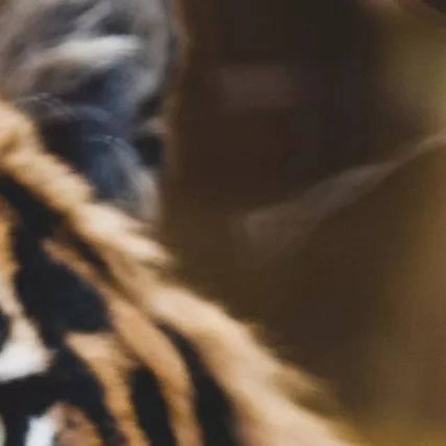 2017年度网络流行语