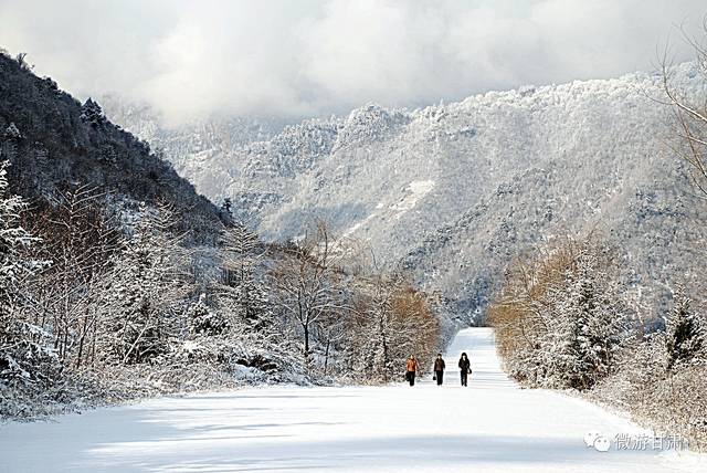 陇南旅游官鹅沟首届冰雪旅游节将于1月19日正式开幕啦亮点抢先看